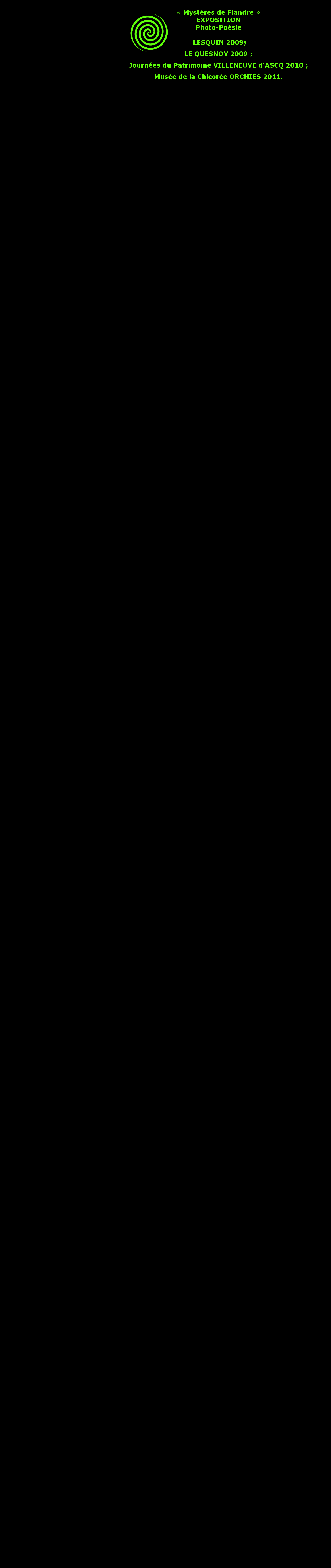 GALERIE JC Delmeule - Valerie D
